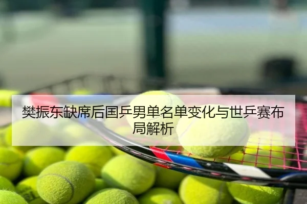 樊振东缺席后国乒男单名单变化与世乒赛布局解析